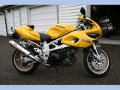 Suzuki-TL-1000